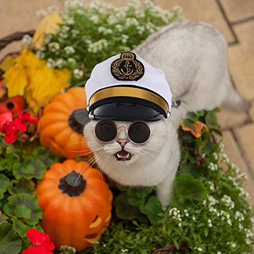 5 Adet Cadılar Bayramı Kedi Denizci Kostüm Seti Köpek Kaptan Şapka Denizci Şapka Kedi Kaptan Donanma Denizci Elbisesi