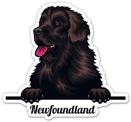 Newfoundland Köpek Çıkartmaları - 2 Paket 3 Çıkartmalar - Araba, Telefon, Su Şişesi, Dizüstü Bilgisayar için Su Geçirmez