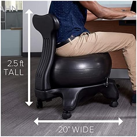FORKİS Klasik Yoga Topu Sandalye Denge Topu Sandalye Sırt Desteği ve 55CM Stabilite Topu Egzersiz Kılavuzu Ev veya