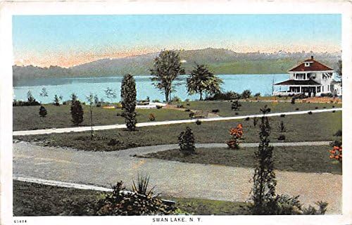 Kuğu Gölü, New York Kartpostalı