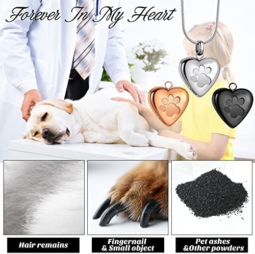 3 Adet Pet Külleri Kolye evcil hayvan vazoları Köpekler için Külleri Kremasyon Takı Külleri Pençe Baskı Kalp Kolye
