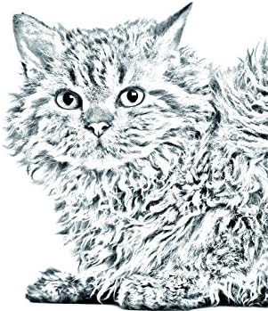Sanat Köpek Ltd.Şti. Selkirk Rex Kedisi, Kedi Görüntüsü olan Seramik Karodan Oval Mezar Taşı