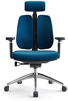 Ygqbgy Yaratıcı bilgisayar sandalyesi Ergonomik omurga sandalye Basit Bel Çift sırtlı sandalye fileli ofis koltuğu