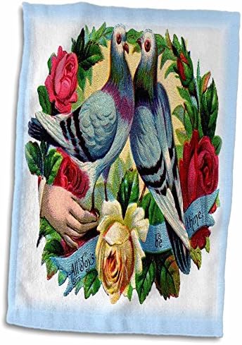 3dRose Florene Vintage-Eski Güvercinler ve Güller-Havlular (twl-44761-1)