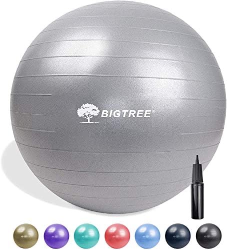BÜYÜK.AĞACI Pilates Egzersiz Topu Anti-Patlama Fitness Topu, Yoga Denge Topu Egzersiz, Doğum, Stabilite Spor Salonu