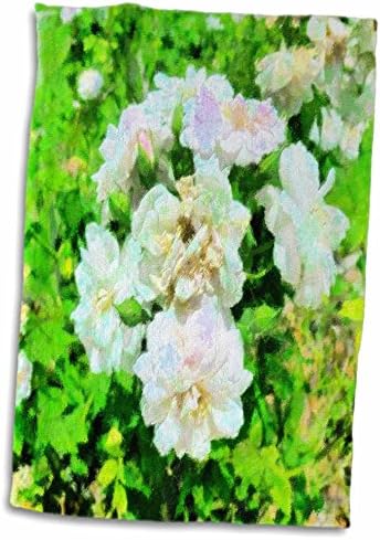 3dRose Florene Soyut Çiçekli-Yumuşak ve Güzel Havlular (twl-21010-1)