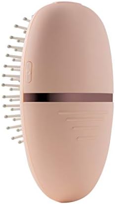 LXXSH Elektrikli Saç Fırçası Tarak Taşınabilir Saç Masaj Tarzı Fırça Negatif Iyonlar Bakım saç düzleştirici (Renk